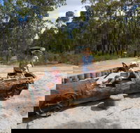Crooked Brook Forest - Accommodation Batemans Bay