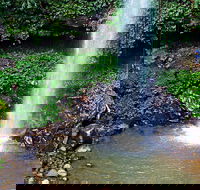 Crystal Shower Falls Walk - Accommodation Batemans Bay