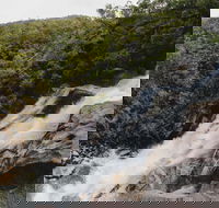 Davies Creek National Park and Dinden National Park - Accommodation Batemans Bay