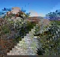 Evans Crown Nature Reserve - Accommodation Batemans Bay