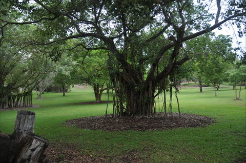 Frog Hollow - Accommodation Batemans Bay 1