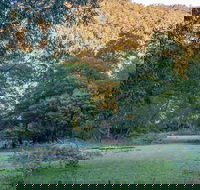 Griffins walking track - Accommodation Batemans Bay