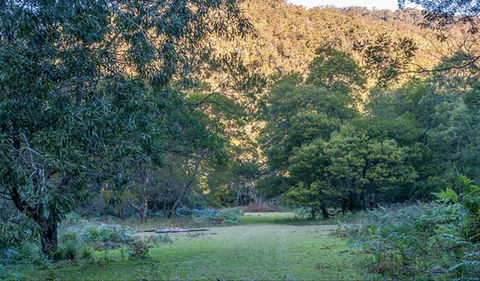 Griffins Walking Track - Accommodation Batemans Bay 0