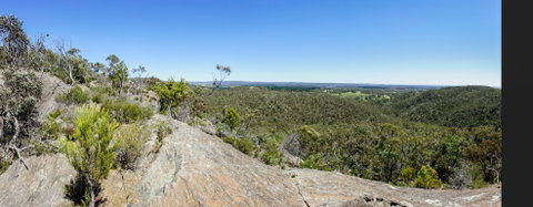 Hale Conservation Park - Accommodation Batemans Bay 0