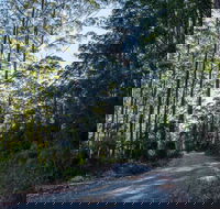 Hastings Forest Way Touring Route - Accommodation Batemans Bay
