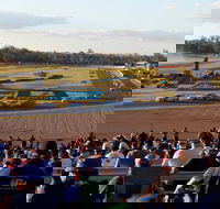 Ipswich Motorsport Precinct - Accommodation Batemans Bay