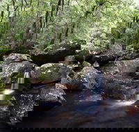 Kangaroo River - Accommodation Batemans Bay