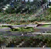 Kayaking Upper Tuross River and Bumbo Lake - Accommodation Batemans Bay