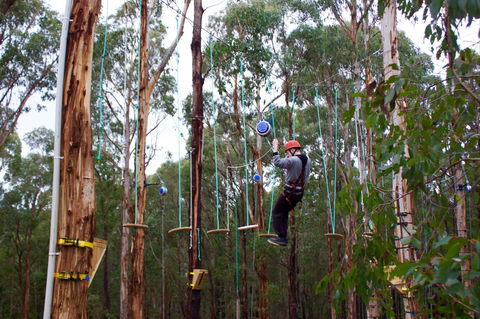 Kinglake Forest Adventures - Accommodation Batemans Bay 0