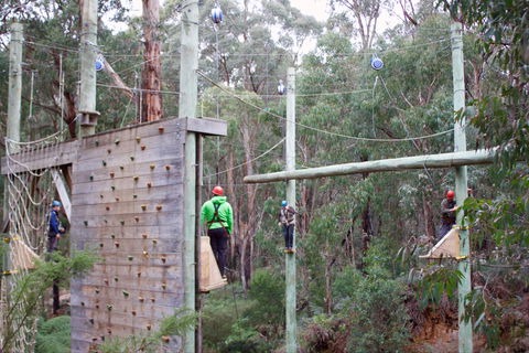 Kinglake Forest Adventures - Accommodation Batemans Bay 1