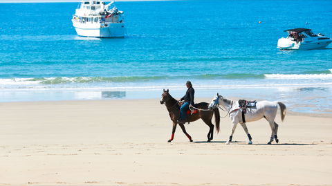 Mackay Harbour Beach - Accommodation Batemans Bay 0