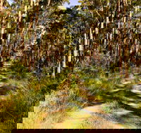 Mining Road Fire Trail Old Gibber Road Rire Trail - Accommodation Batemans Bay