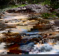 Mothar Mountain Rockpools - Accommodation Batemans Bay