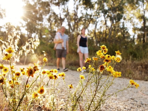 Nail Can Hill - Accommodation Batemans Bay 0