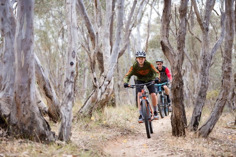Nail Can Hill - Accommodation Batemans Bay 1