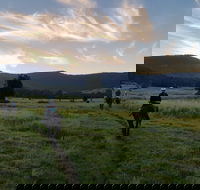 Numinbah Valley Adventure  Camping - Accommodation Batemans Bay