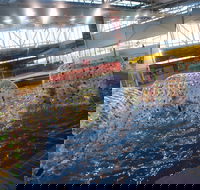 Oasis Regional Aquatic Centre - Accommodation Batemans Bay