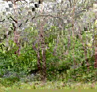 Scutts Hut Trail - Accommodation Batemans Bay