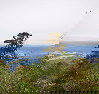 Slingsbys Trail and Syndicate Ridge Track - Accommodation Batemans Bay
