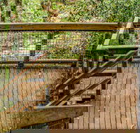 Somersby Falls walking track - Accommodation Batemans Bay