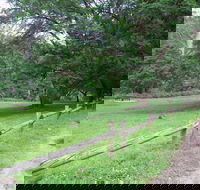 St Albans Reserve - Accommodation Batemans Bay