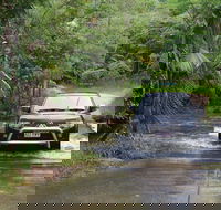 The Pioneer Valley and Eungella National Park - Accommodation Batemans Bay