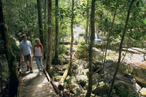 The Pioneer Valley And Eungella National Park - Accommodation Batemans Bay 1