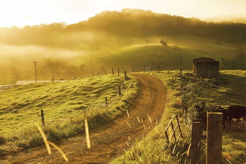 The Pioneer Valley And Eungella National Park - Accommodation Batemans Bay 2