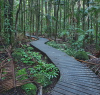 The Channon Protesters Falls Nimbin and Mount Nardi - Accommodation Batemans Bay