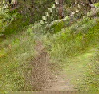 Three Views walking track - Accommodation Batemans Bay