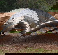 Underwater Marine Sculptures - Accommodation Batemans Bay