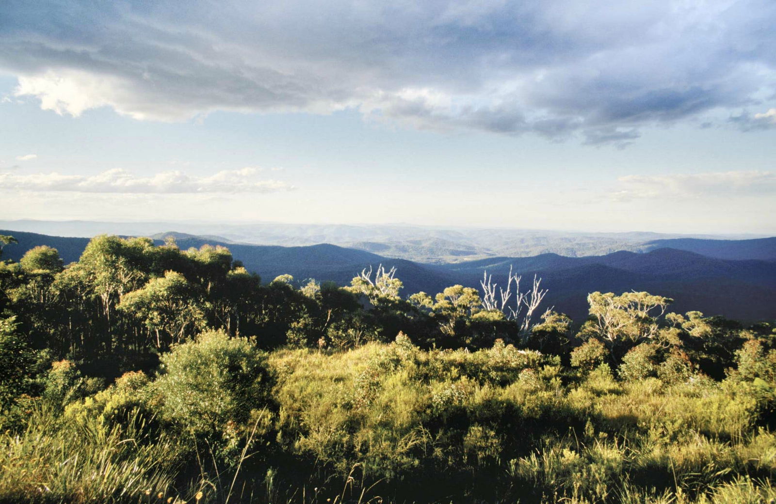 Fernbrook NSW Accommodation Batemans Bay
