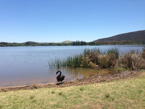 Yarralumla Bay - Accommodation Batemans Bay 0