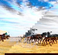 14 Day Gems of the Outback - Accommodation Batemans Bay