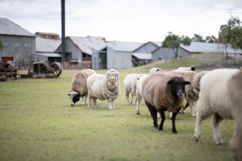 14 Day Gems Of The Outback - Accommodation Batemans Bay 2