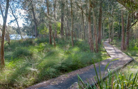 Anabranch Loop Track - Accommodation Batemans Bay 0