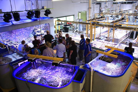 Australian Institute Of Marine Science - Accommodation Batemans Bay 0
