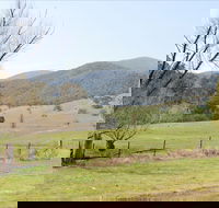 Banimboola Creek Rest Area - Accommodation Batemans Bay