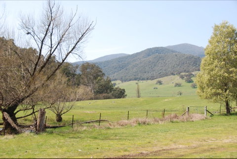 Banimboola Creek Rest Area - Accommodation Batemans Bay 0