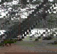 Big Brook Arboretum - Accommodation Batemans Bay