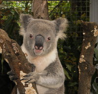 Birdland Animal Park - Accommodation Batemans Bay