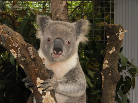 Birdland Animal Park - Accommodation Batemans Bay 0