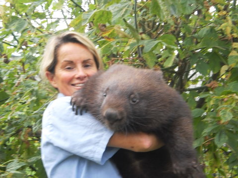 Birdland Animal Park - Accommodation Batemans Bay 2