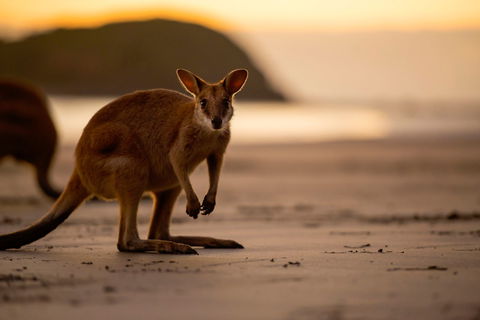 Cape Hillsborough – A Low Tide Fishing Adventure - Accommodation Batemans Bay 1