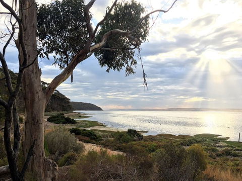 Fish Cannery Walking Trail - Accommodation Batemans Bay 0