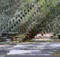 Goonoowigall State Conservation Area - Accommodation Batemans Bay