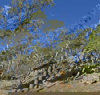 Green track - Accommodation Batemans Bay