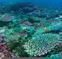 Hanging Rock Dive Site - Accommodation Batemans Bay
