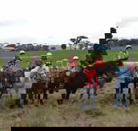 High Country Trail Rides - Accommodation Batemans Bay
