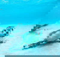 Jurien Bay - Accommodation Batemans Bay
